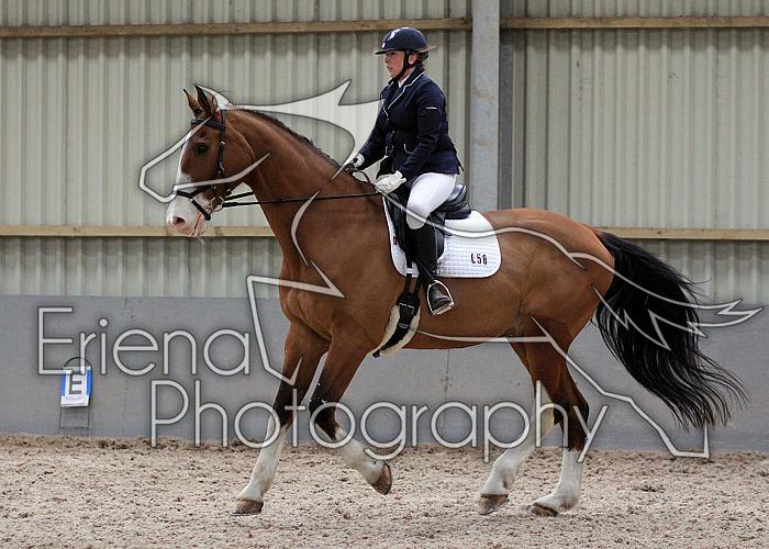 Novice27037