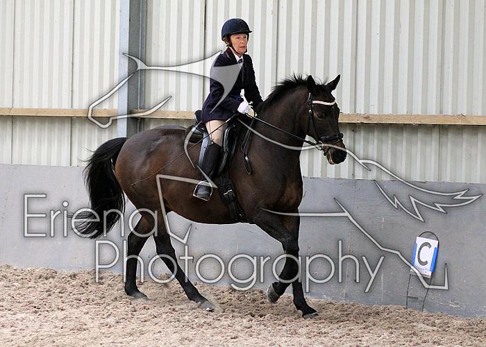 Novice27047
