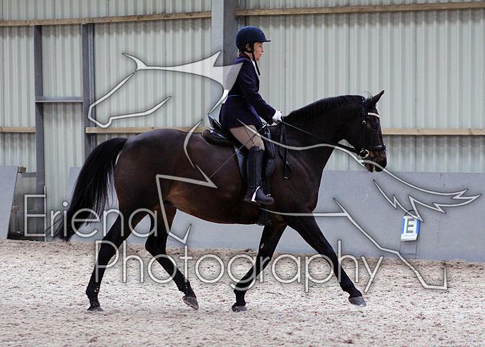 Novice27051