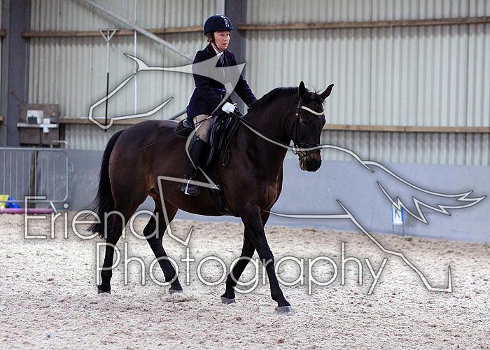 Novice27053