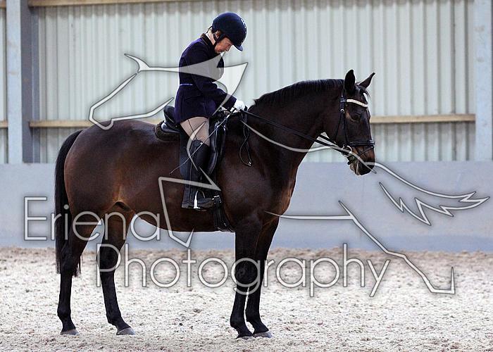 Novice27059