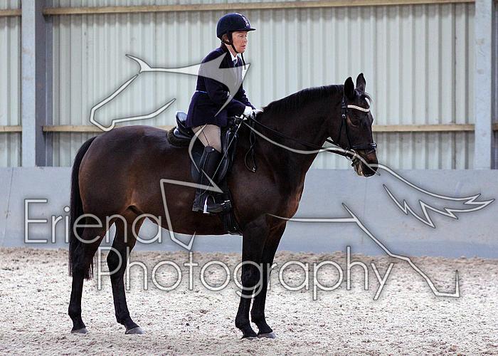 Novice27060
