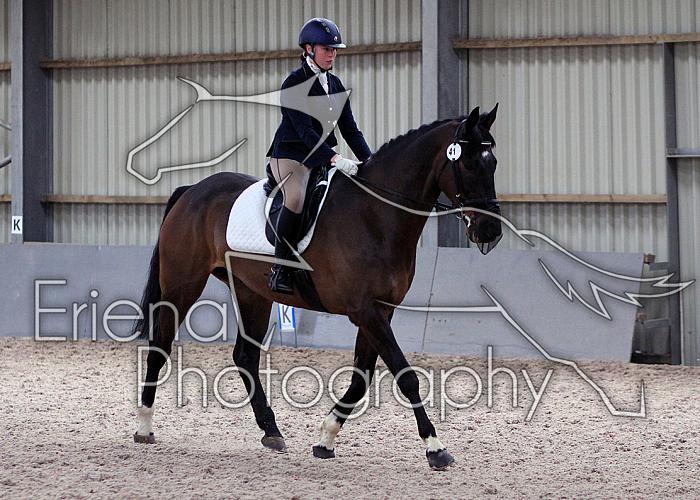 Novice27063
