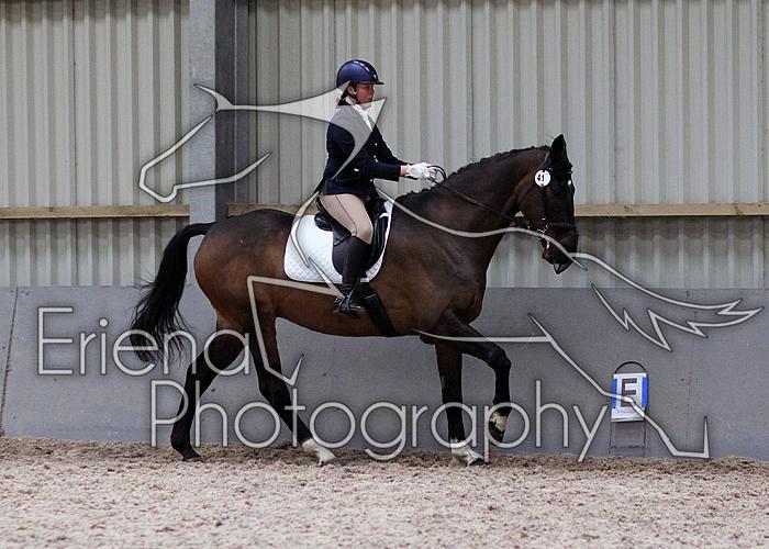 Novice27065
