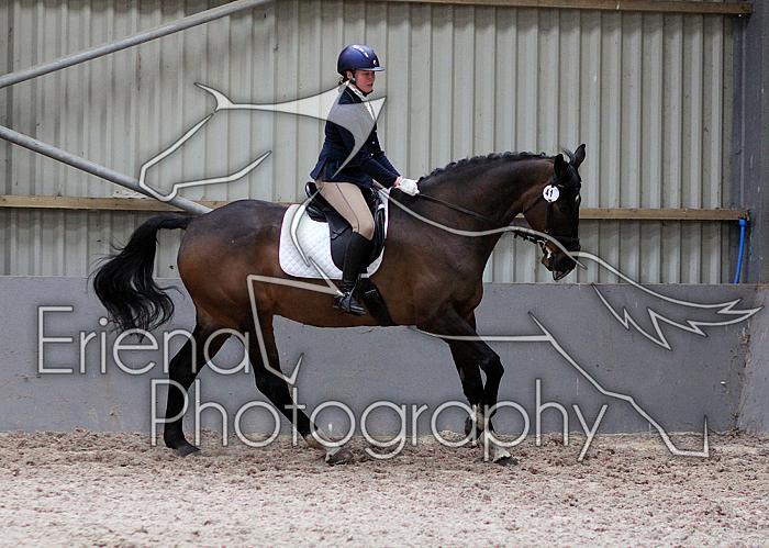 Novice27067