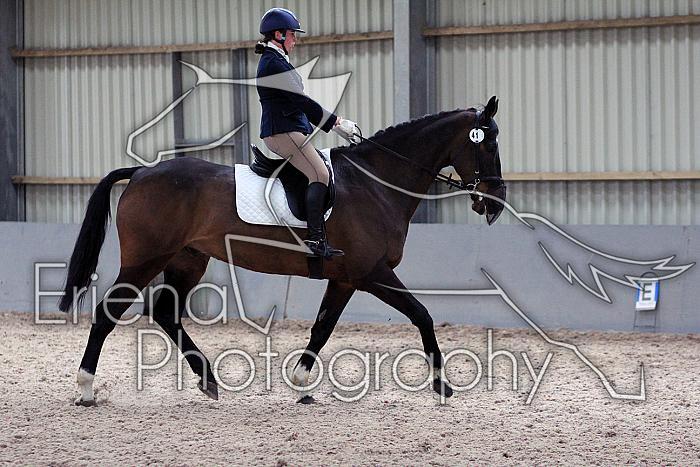 Novice27071