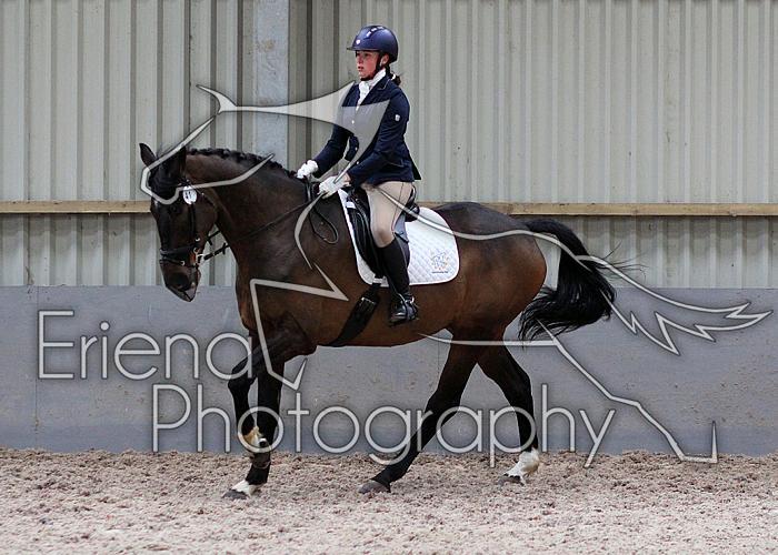 Novice27077