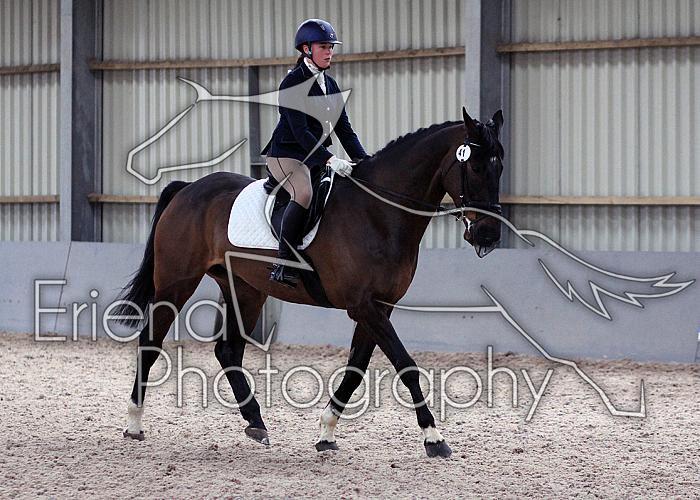 Novice27084
