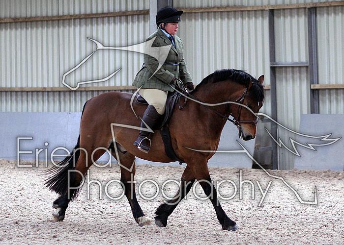 Novice27092