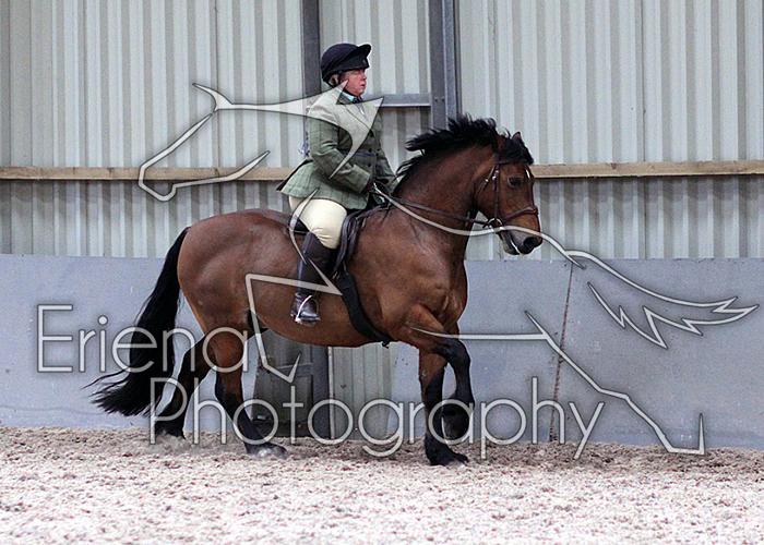 Novice27093