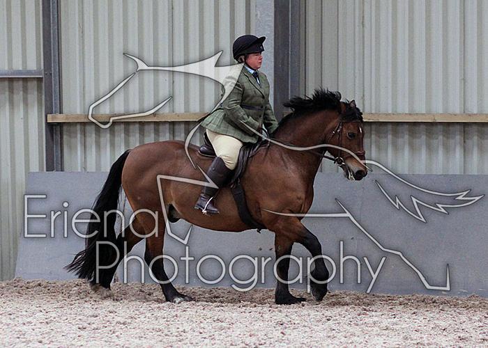 Novice27094