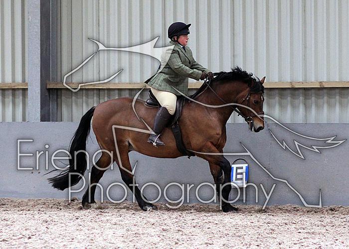 Novice27095