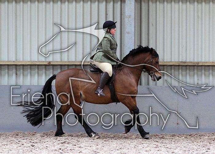 Novice27096