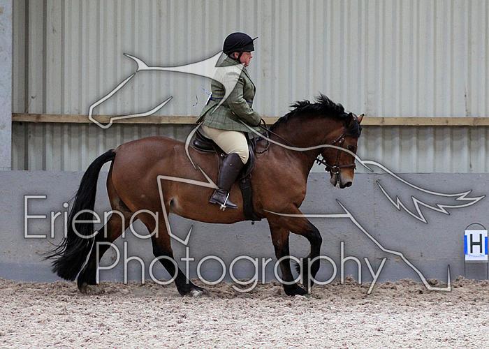 Novice27097