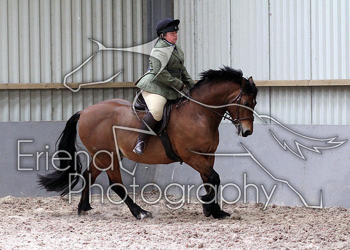Novice27098