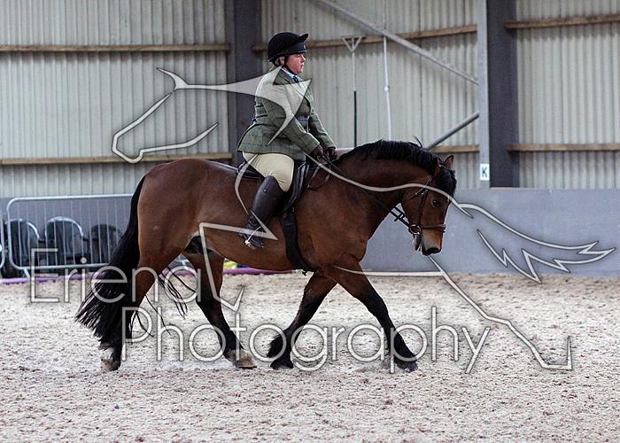 Novice27100