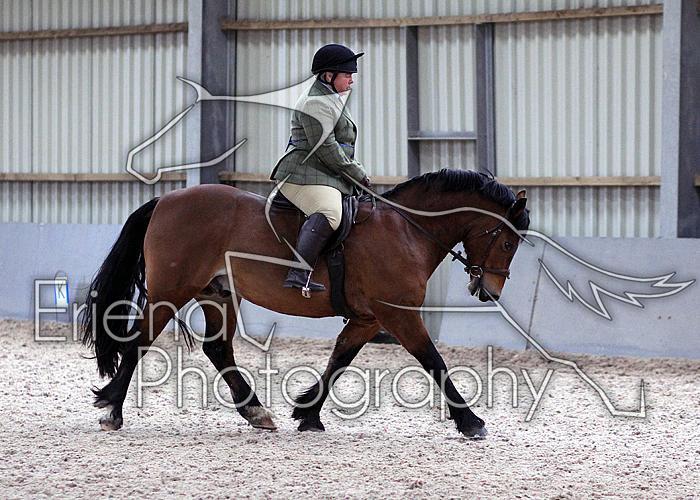Novice27102
