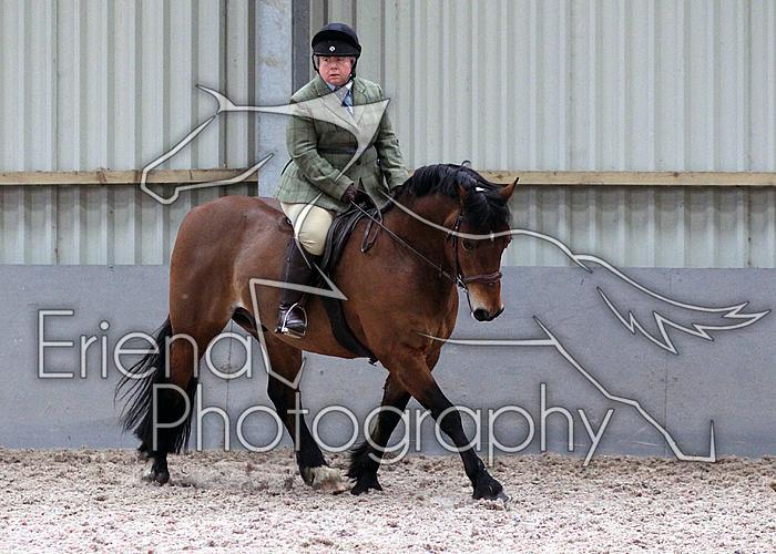 Novice27104