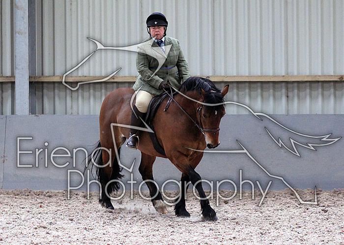 Novice27105