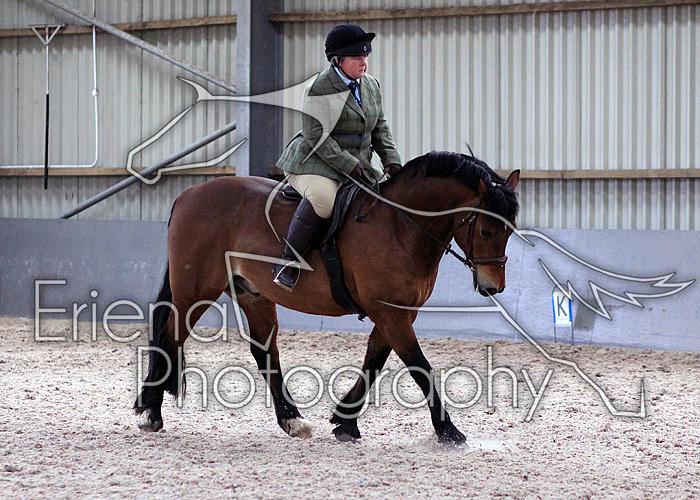 Novice27107