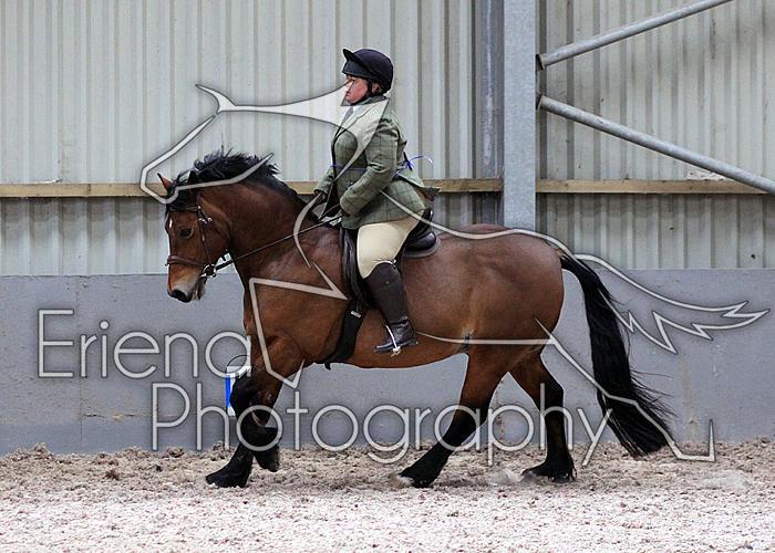 Novice27109