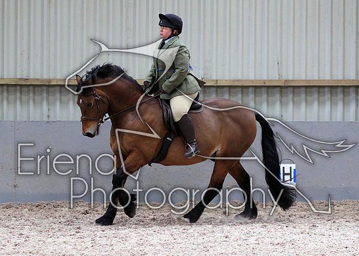 Novice27110