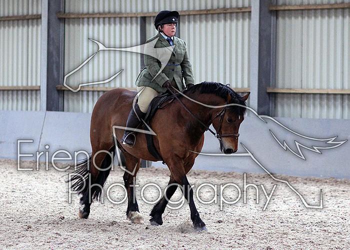 Novice27111