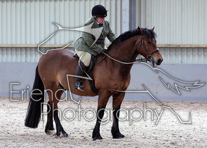 Novice27112