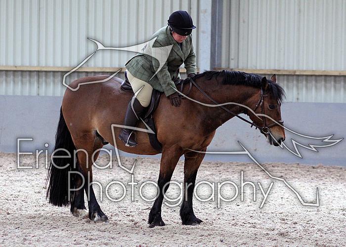 Novice27113