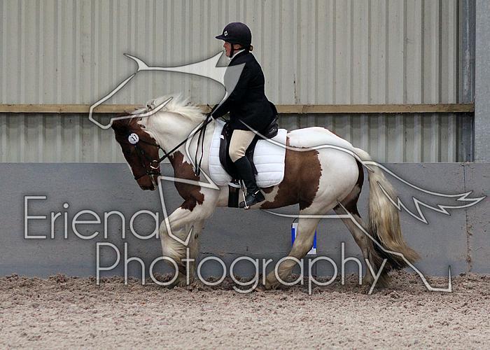 Prelim2008