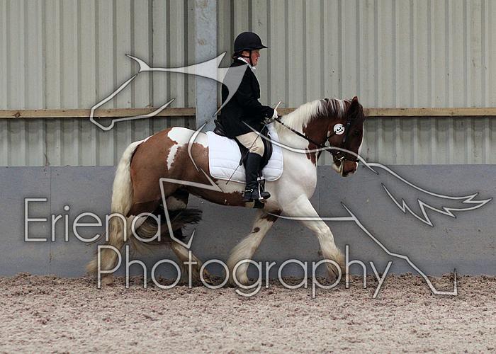 Prelim2009