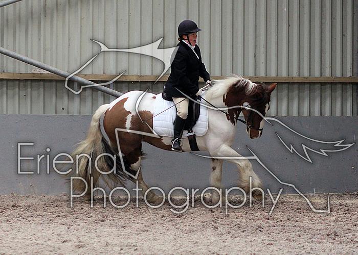 Prelim2011