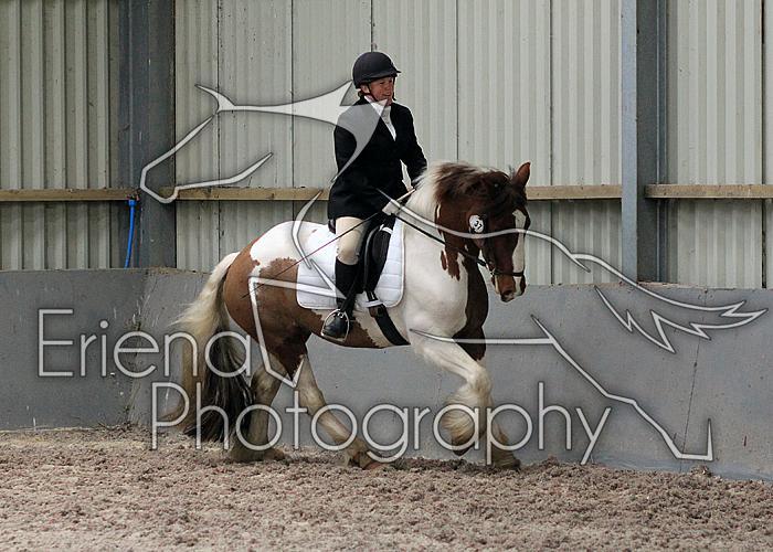 Prelim2012