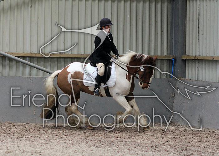 Prelim2013