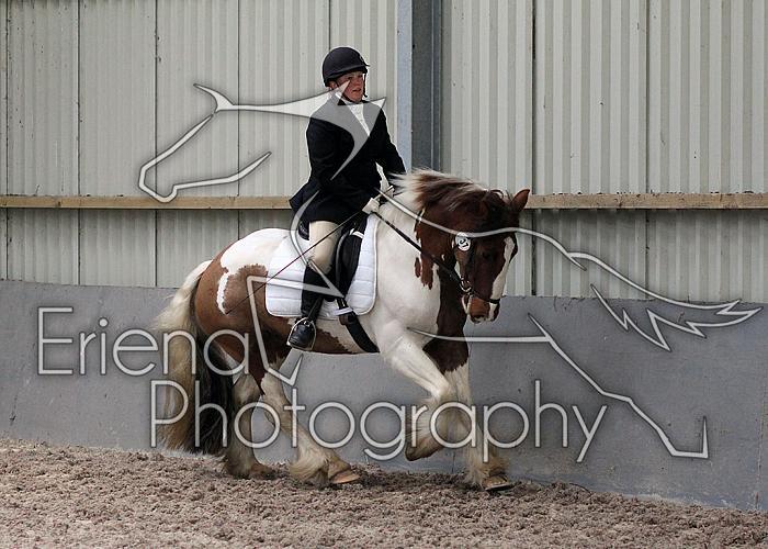 Prelim2014