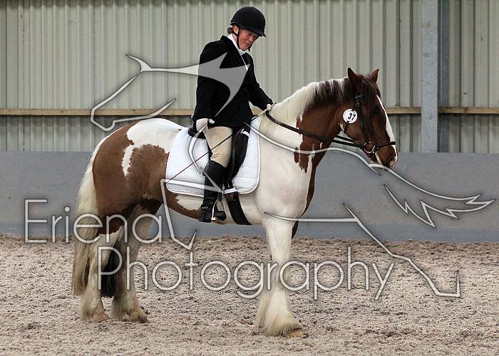 Prelim2015