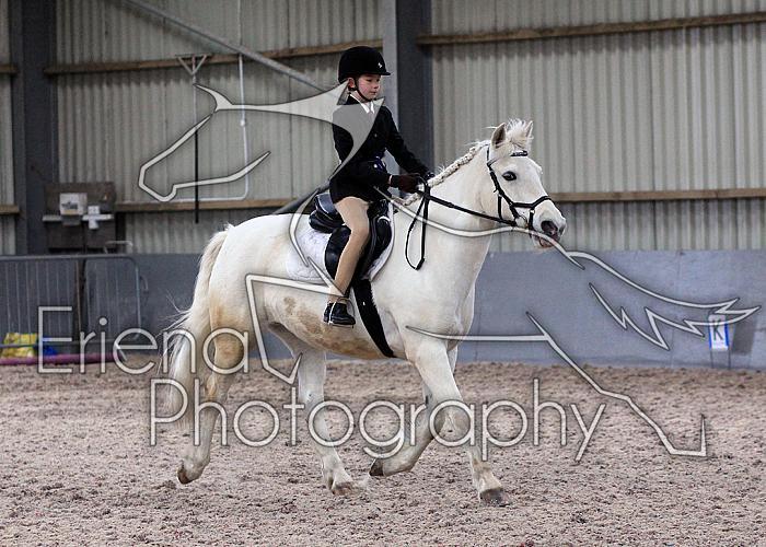 Prelim2019