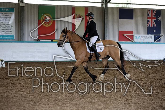 Novice5001