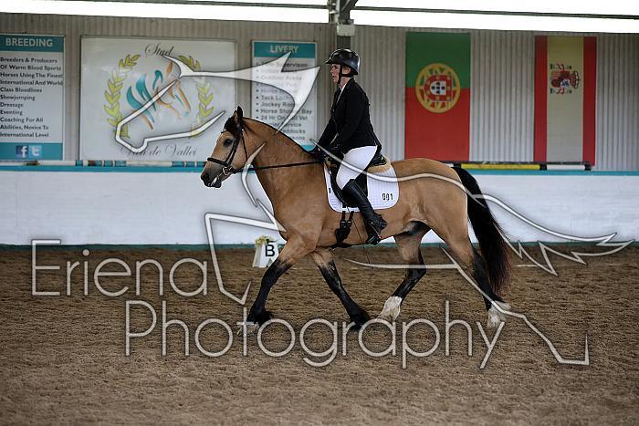 Novice5002