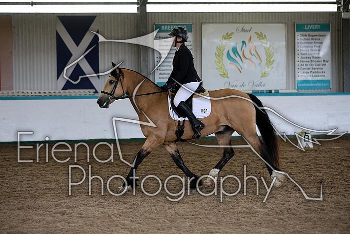 Novice5003