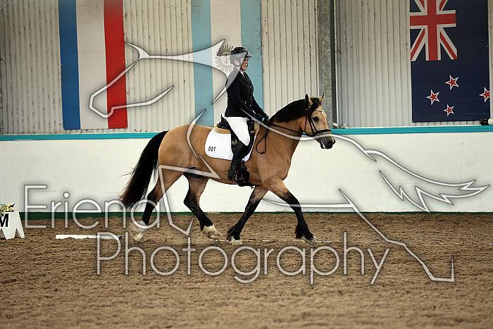 Novice5009