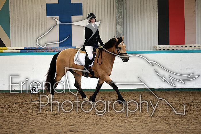 Novice5013