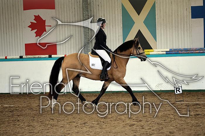 Novice5014