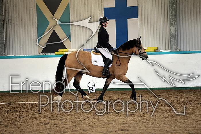 Novice5015