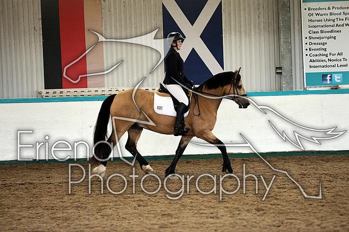 Novice5017