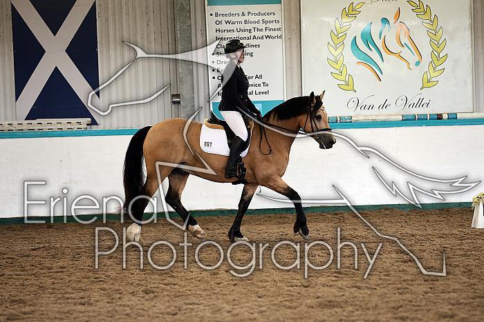Novice5018