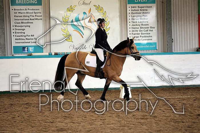 Novice5019