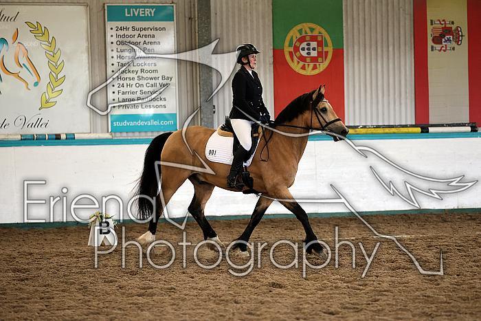 Novice5020