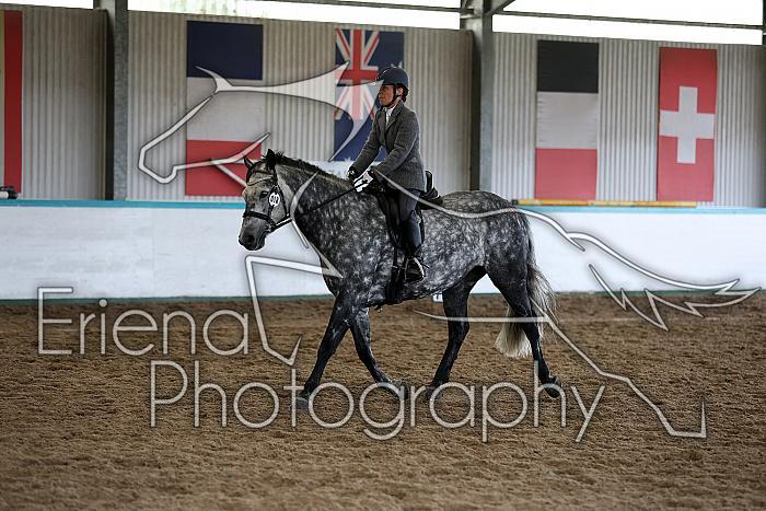 Novice5033