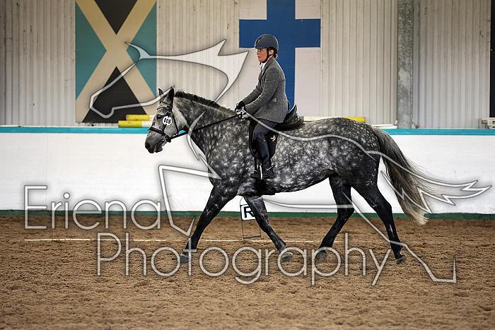 Novice5038